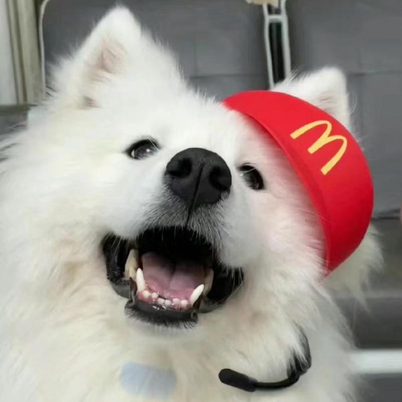 媛媛爱吃圆圆🍟🍟