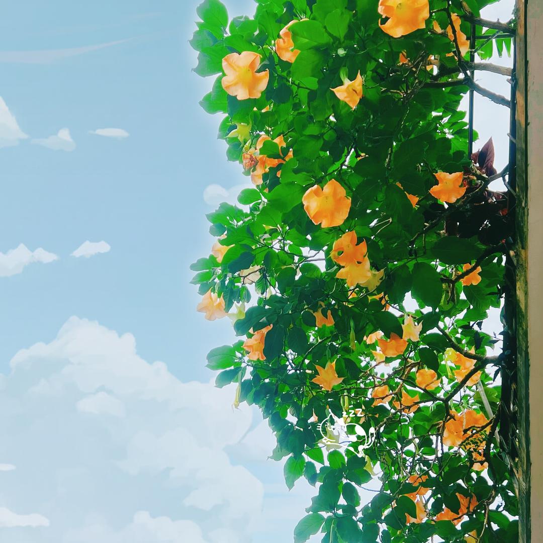 星典