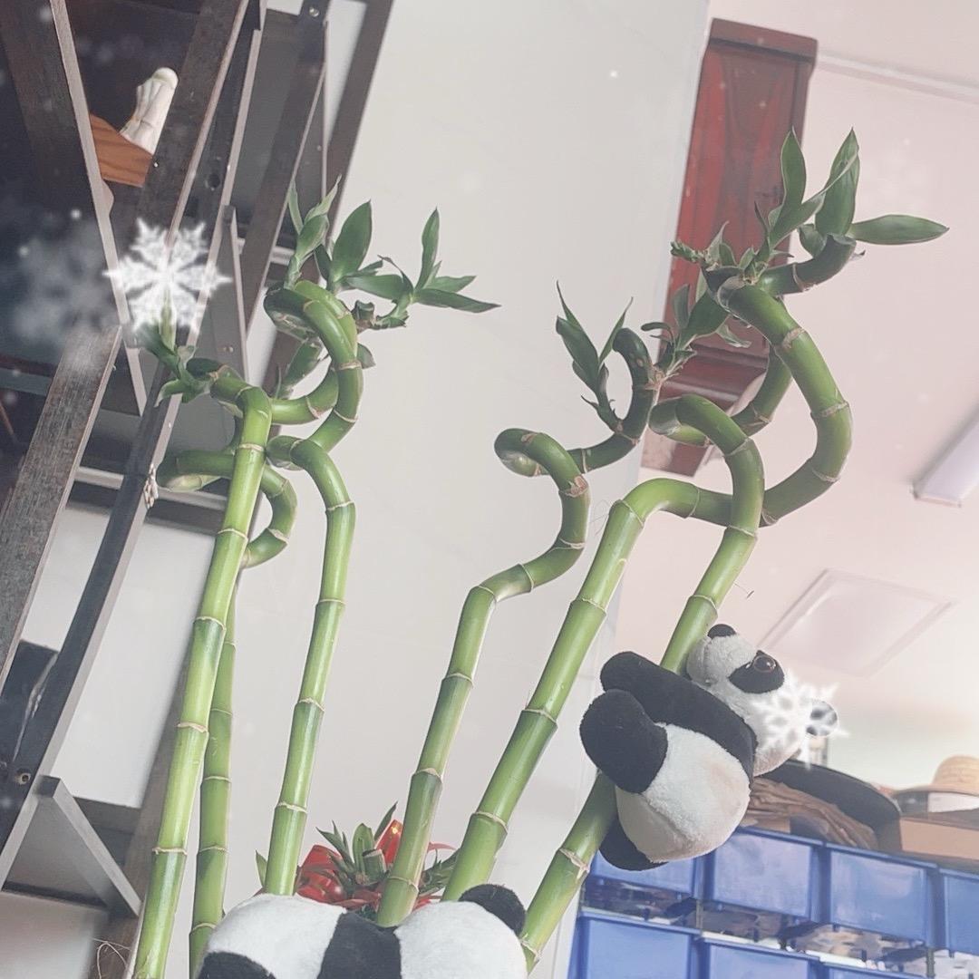 老赵牙哥