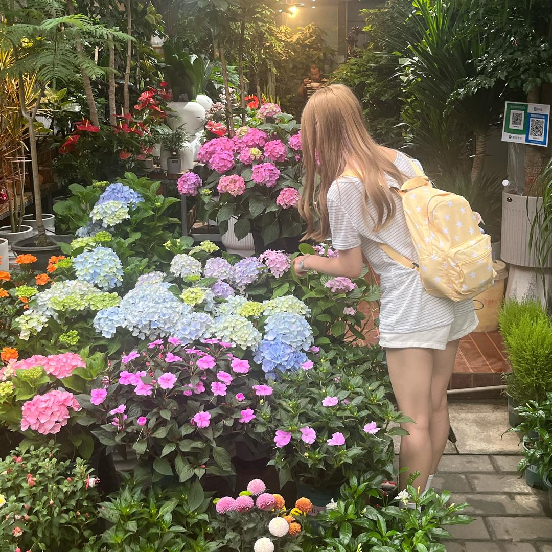 瓜皮