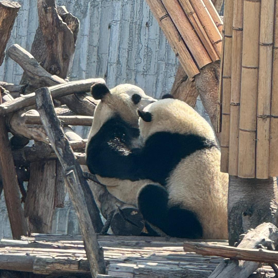 刑天