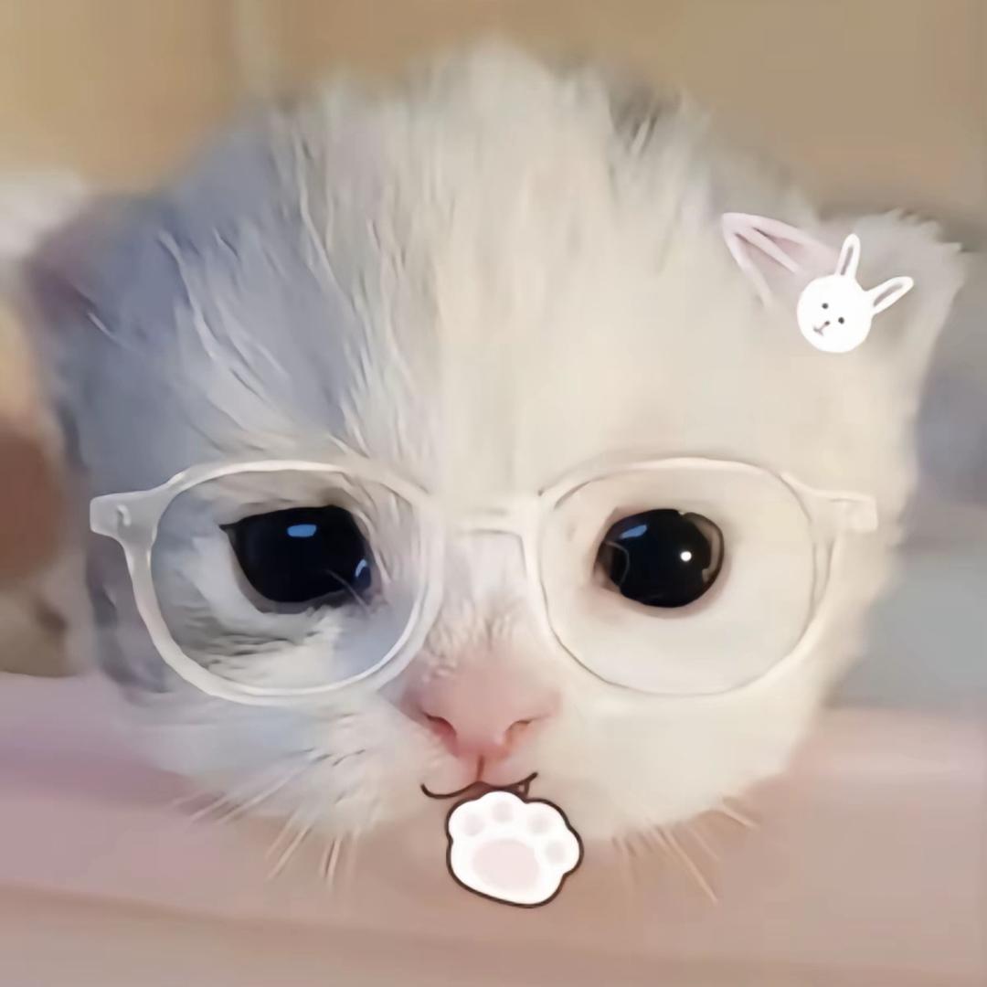 三雯鱼