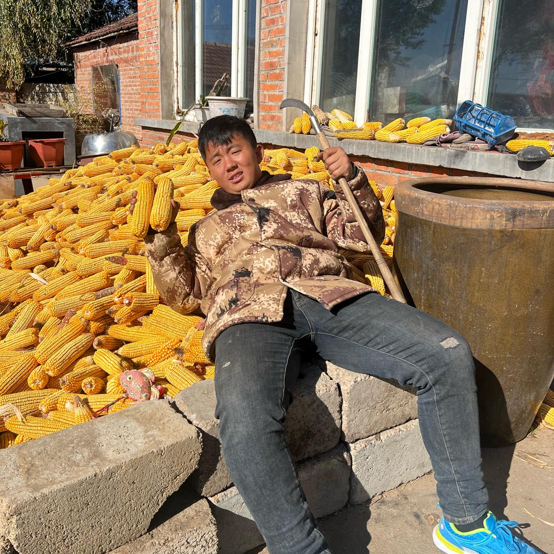 小志刚👷（工地求生）