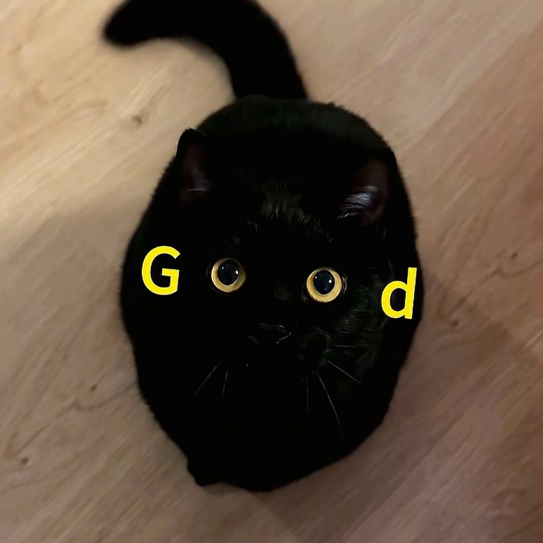 ᅟᅠ        ‍