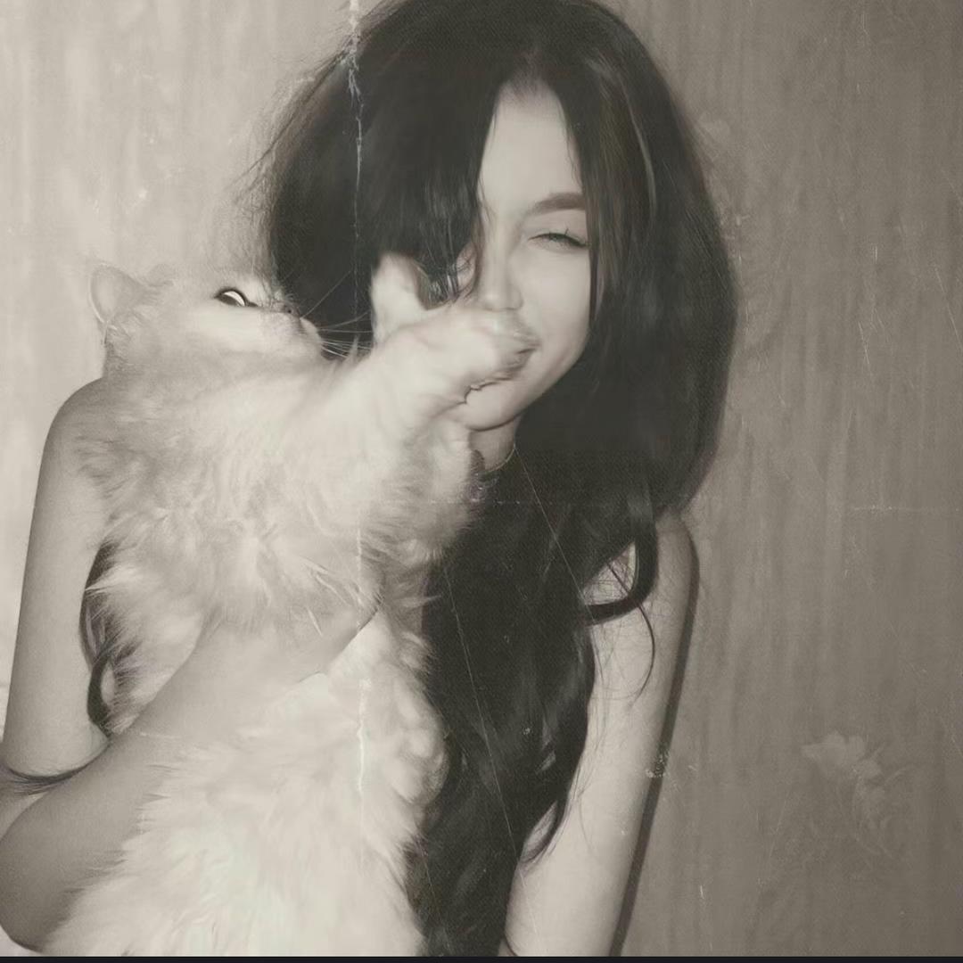苹什猫