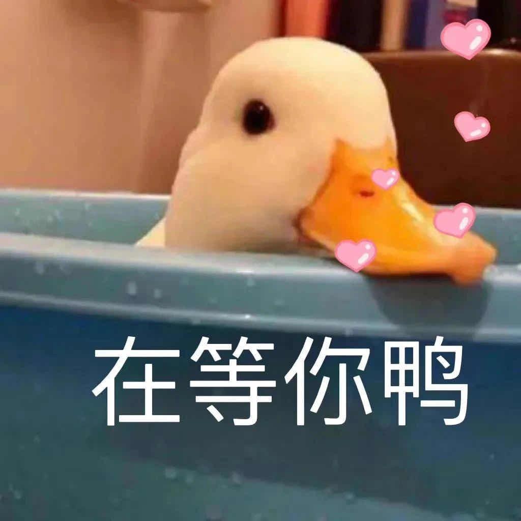 濮阳宏泰瓷砖批发