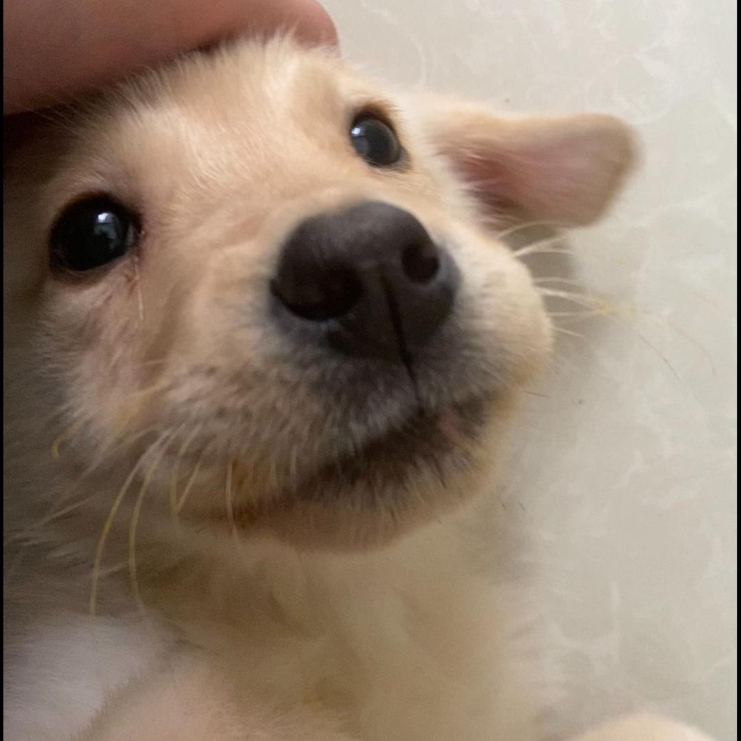 ！！！！！