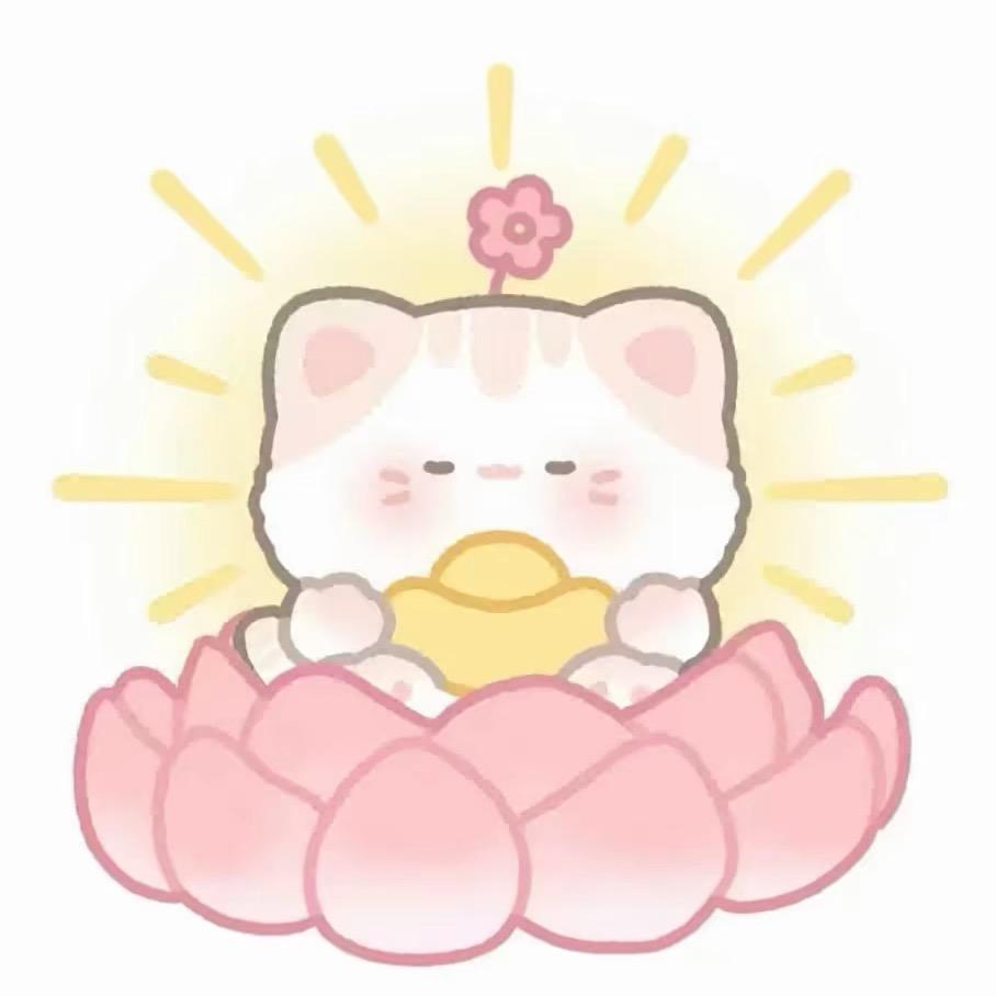小猫暴富计