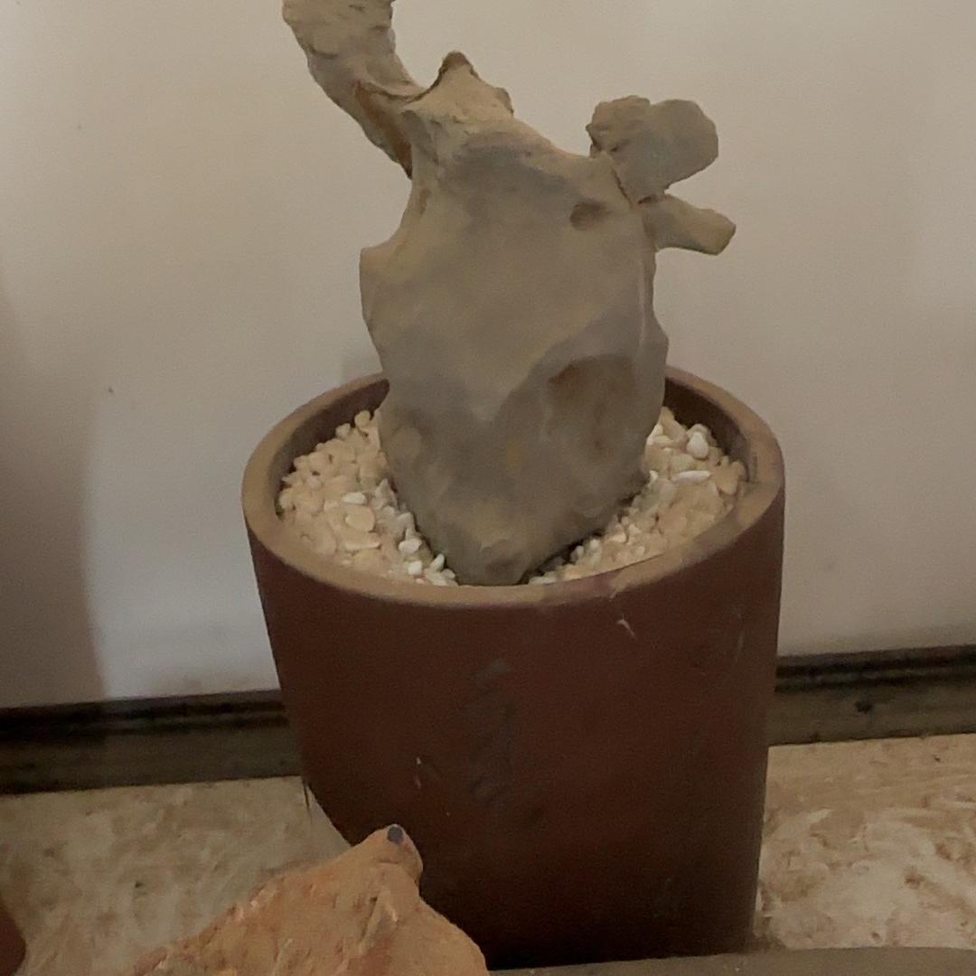 海枯石烂（灵璧石