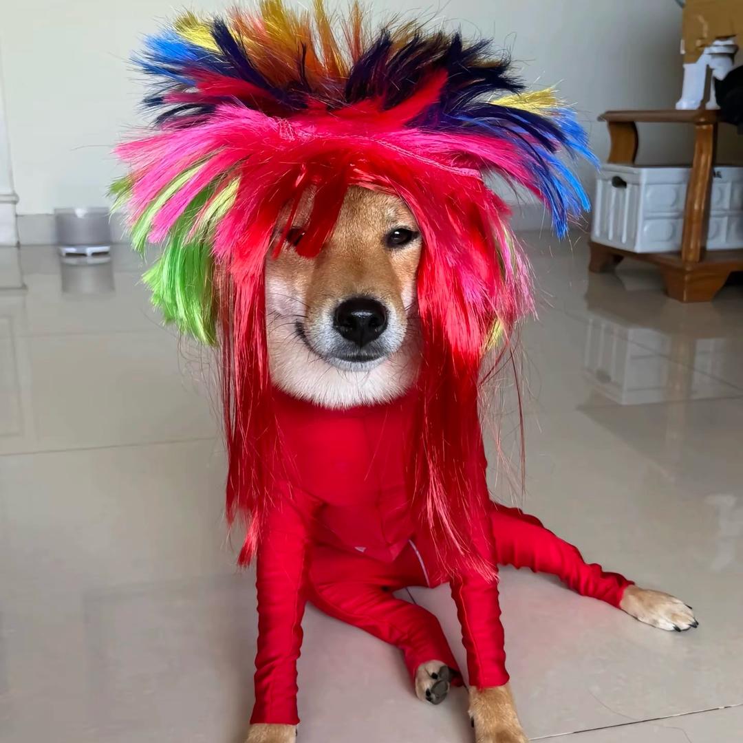迪迪臻选