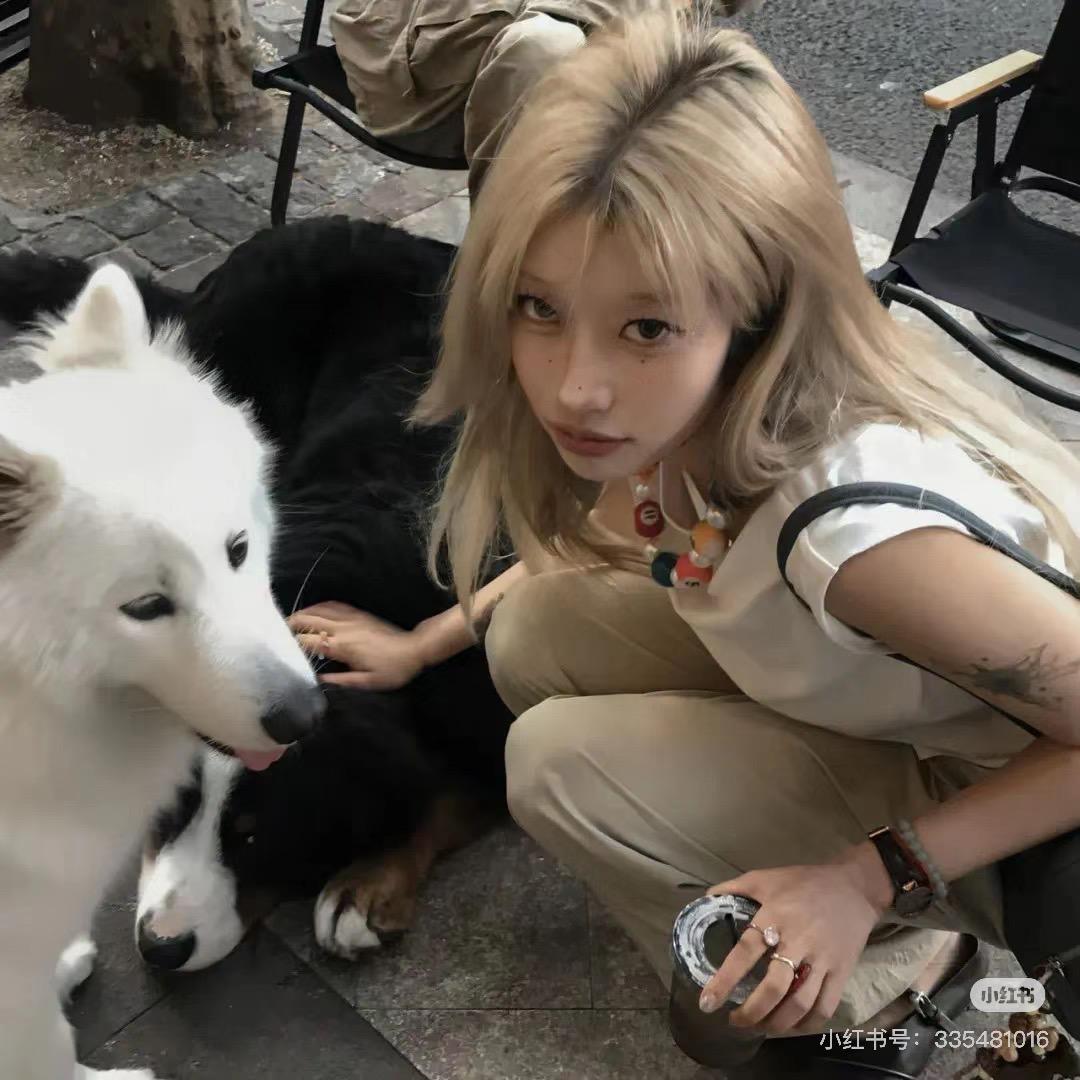 和鲤鱼