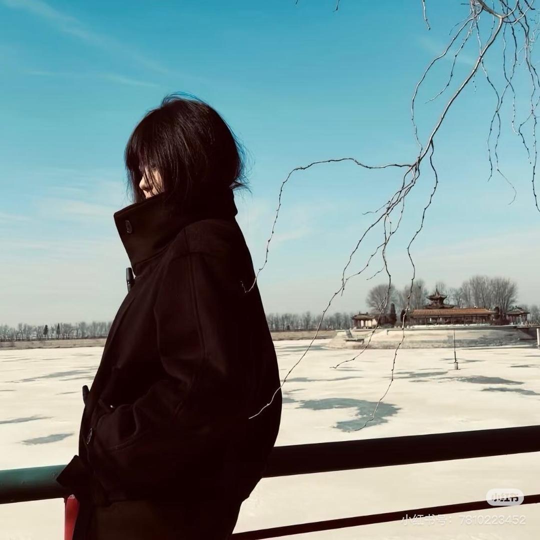 梅子冻-