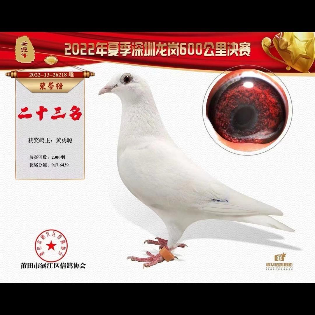 💕᭄ꦿ韦韦᭄ོ࿆🕊