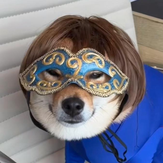 游乐狗子