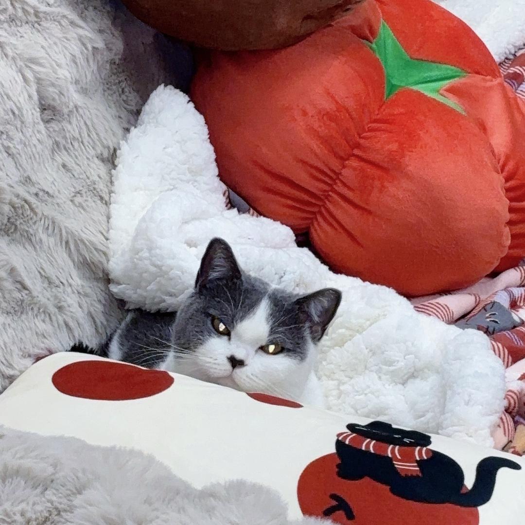 风车车๑`ȏ´๑