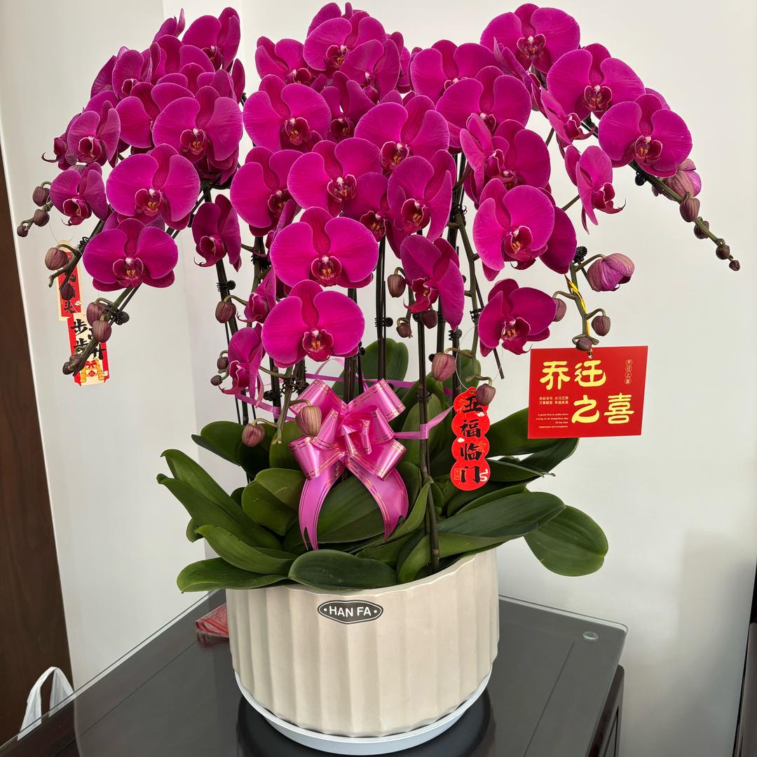 阿香518