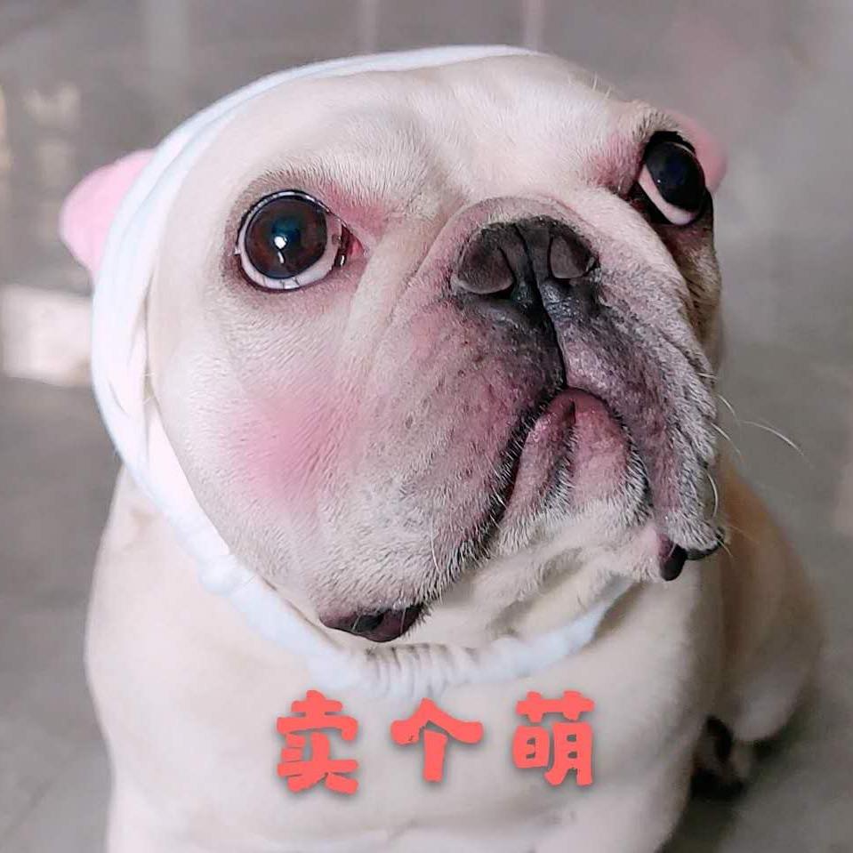 川哥是法牛