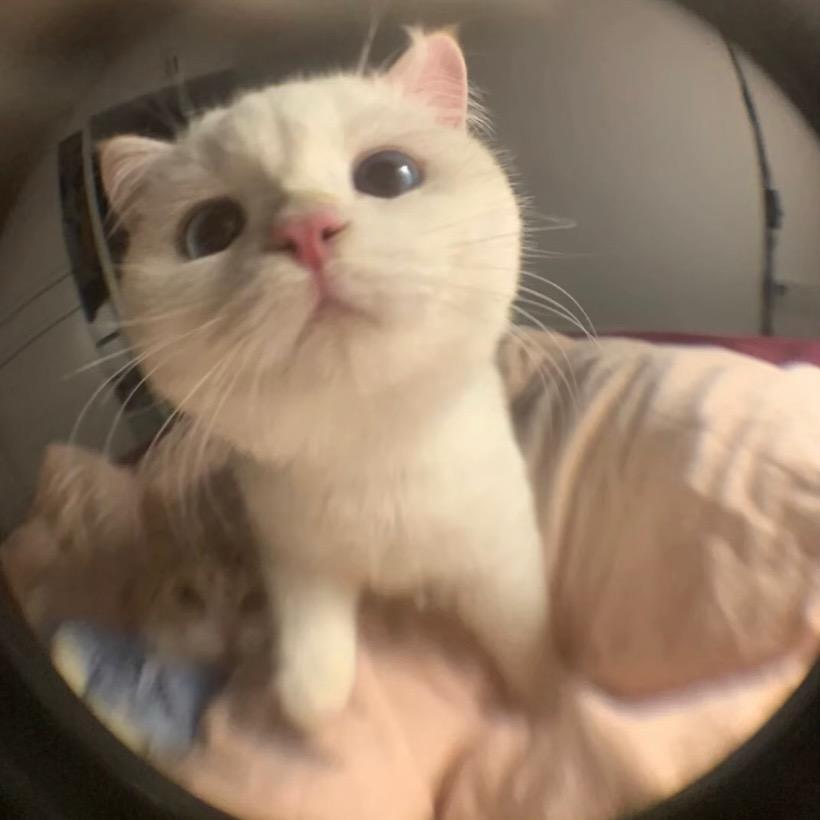 猕hotel