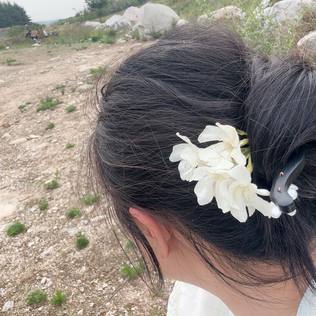 小石-