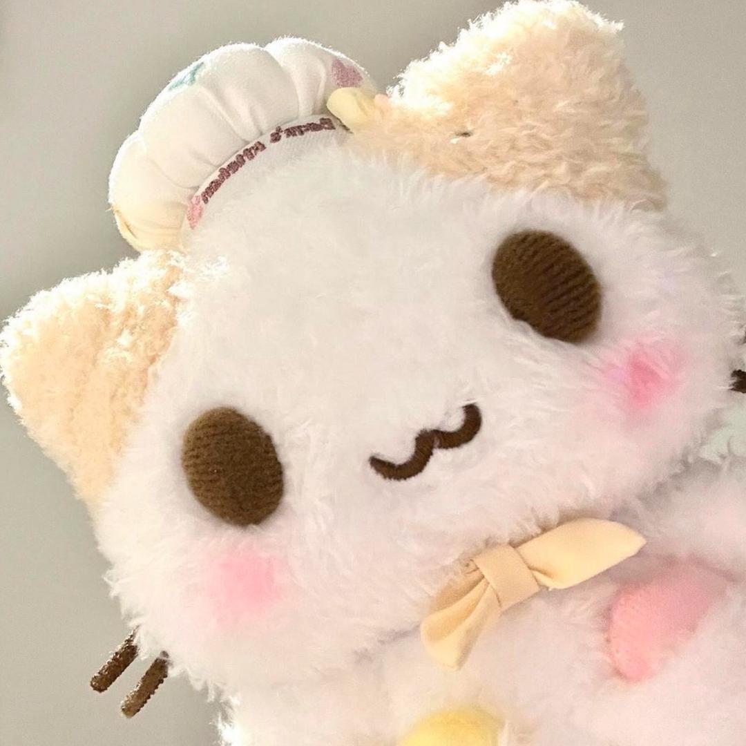 观星少女传说            🪳