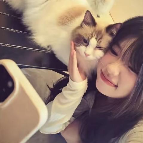 肯德基老奶奶🍟