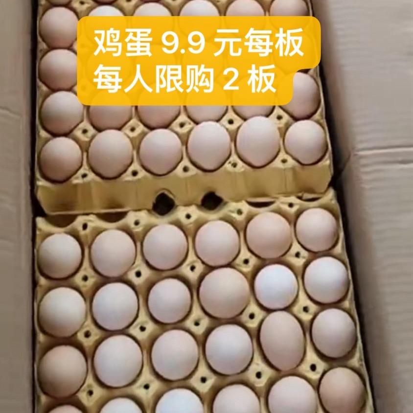 周记蔬菜批发白兔潭农贸市场