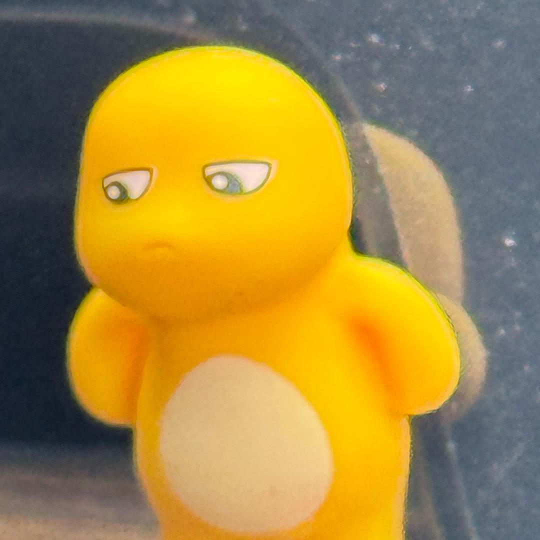 现崽