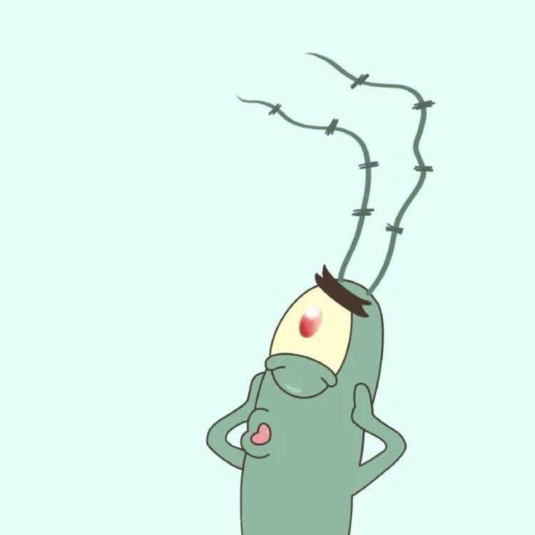 骑着鲨鱼看世界