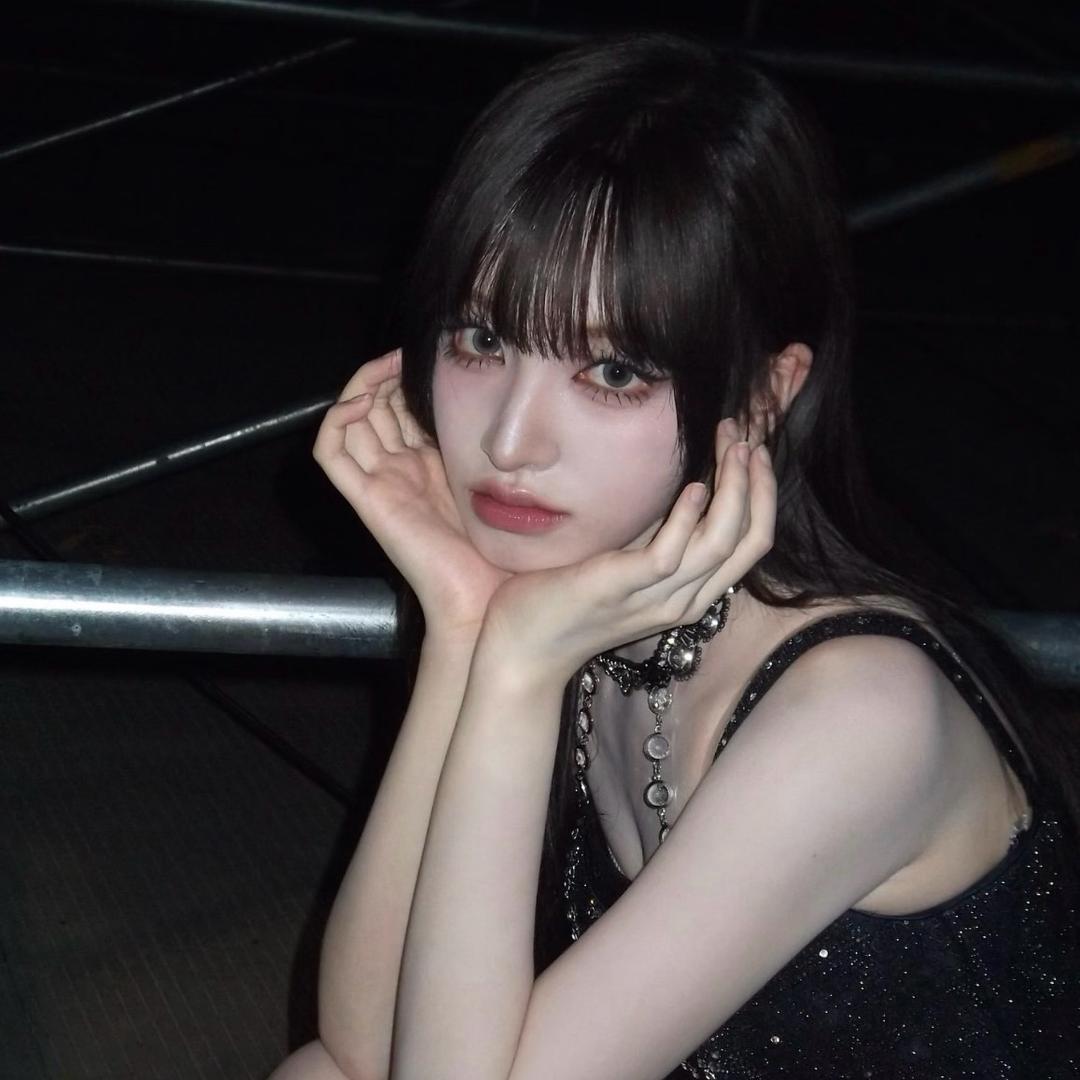 第I只小狗黛比