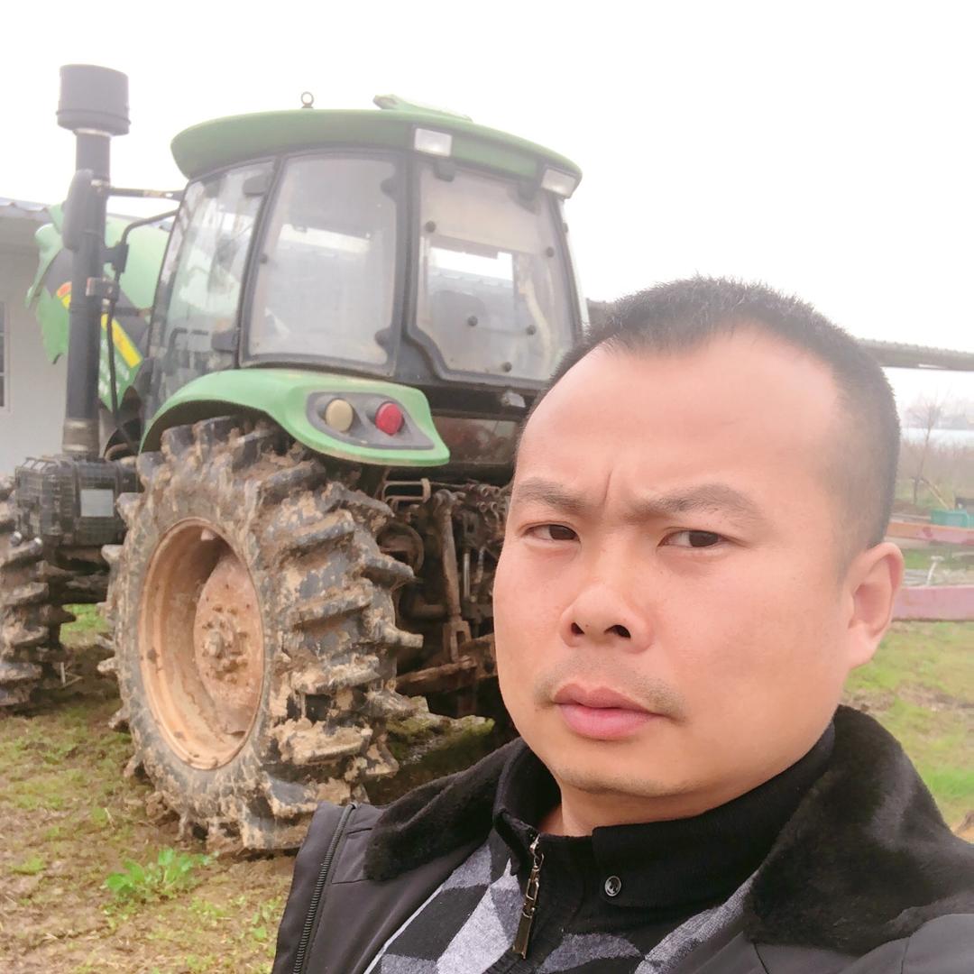 孝感雄飞