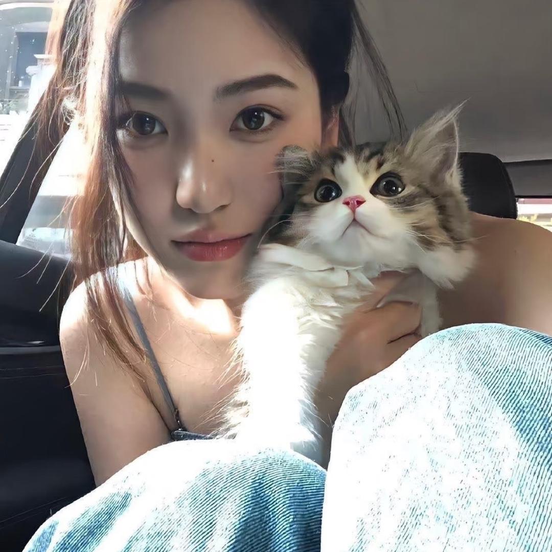 已多次拒绝懒羊羊