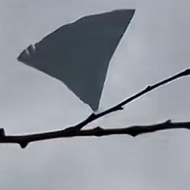 宅兹河洛头像