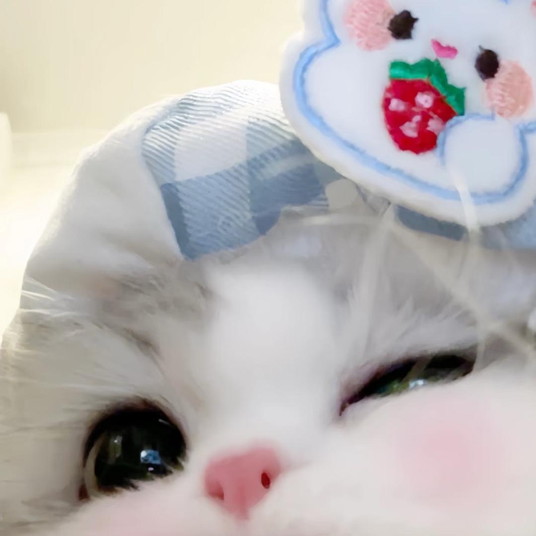 牛奶小布丁🍮