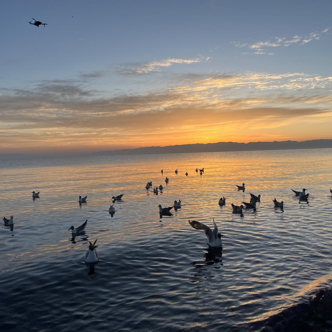 西安市圭峯源｜園林景觀生活藝術馆