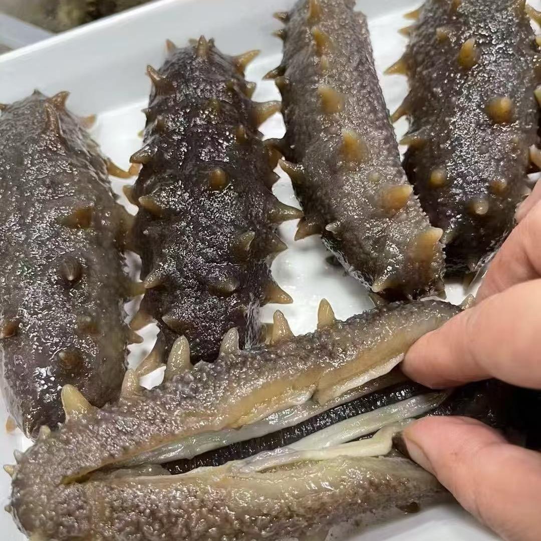 辽刺出口海参仓