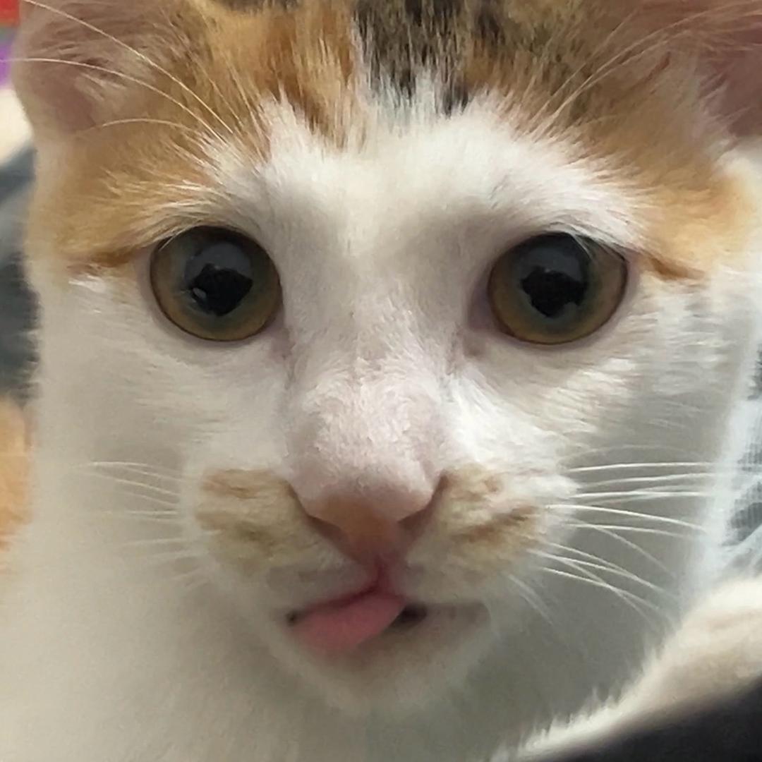 用户7884437793203
