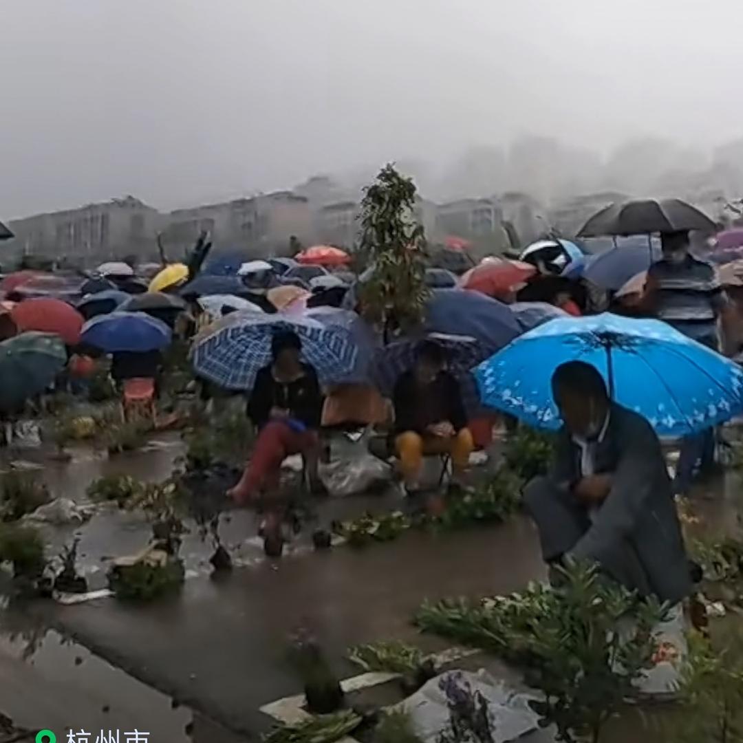 我在杭州萧山新街小苗早市