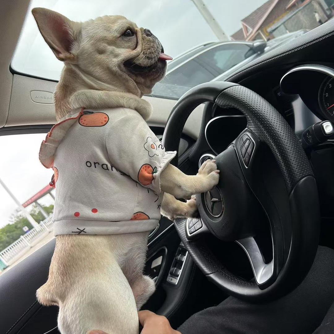 Phenomenon（三角洲）