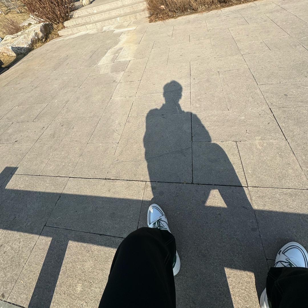 老楠的幸福生活
