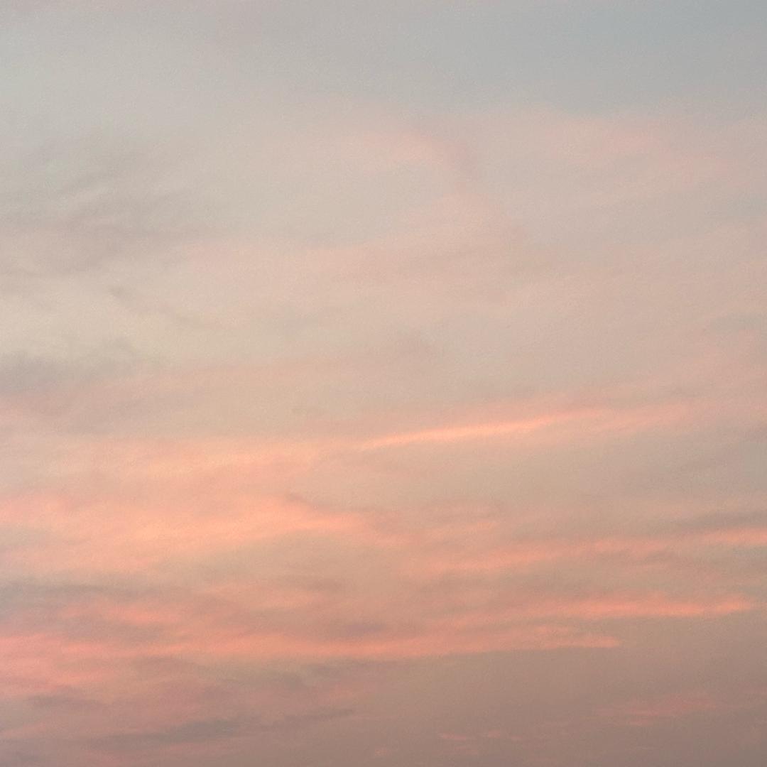 🌈随心而动