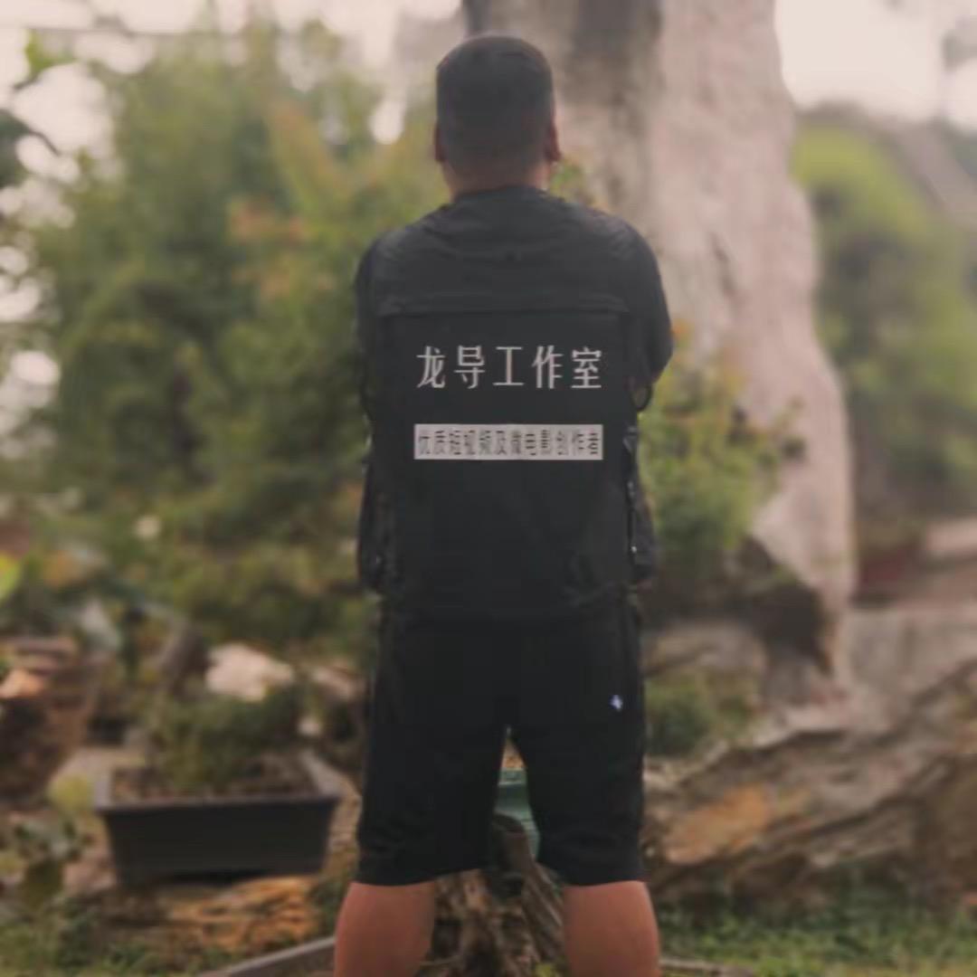 龙导文化（商家企业短视频运营）