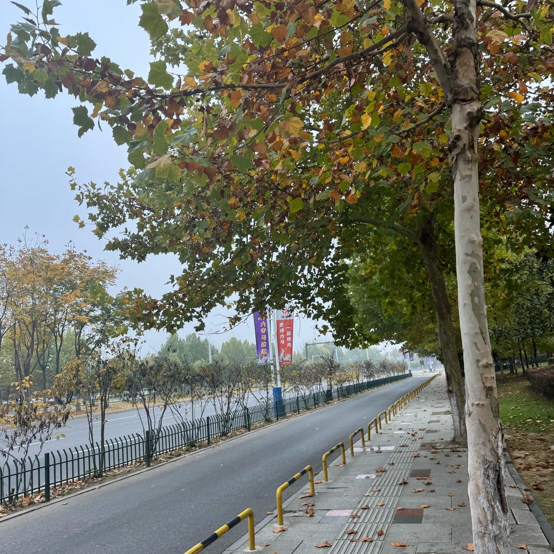 哇哦🎊