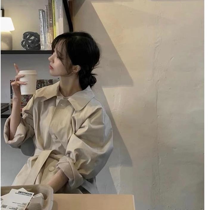 小丑鱼