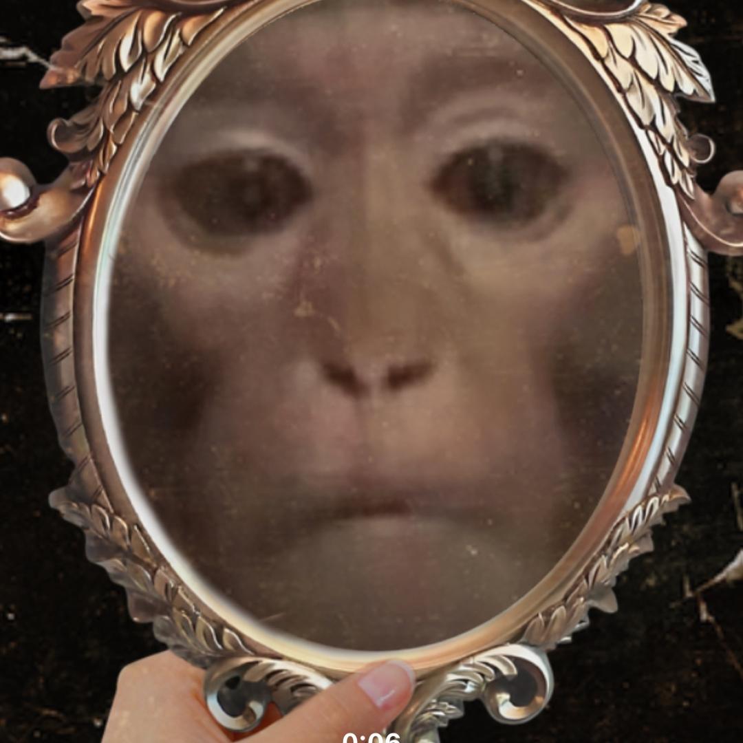 刘猩🐒