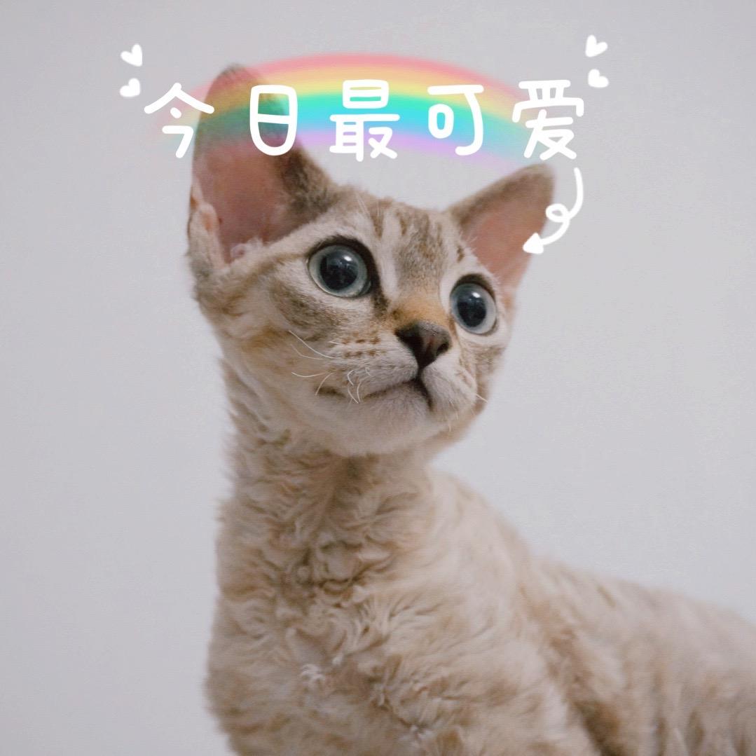 克宝别凶妹妹