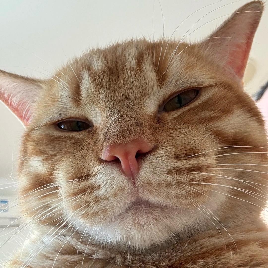 来宾超豪无人机飞防