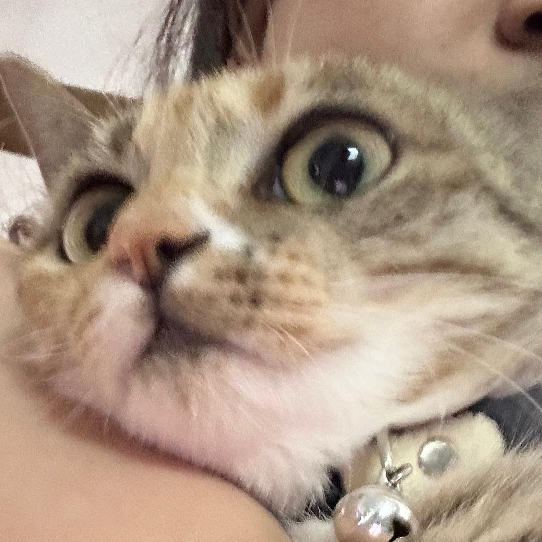 李不点๑
