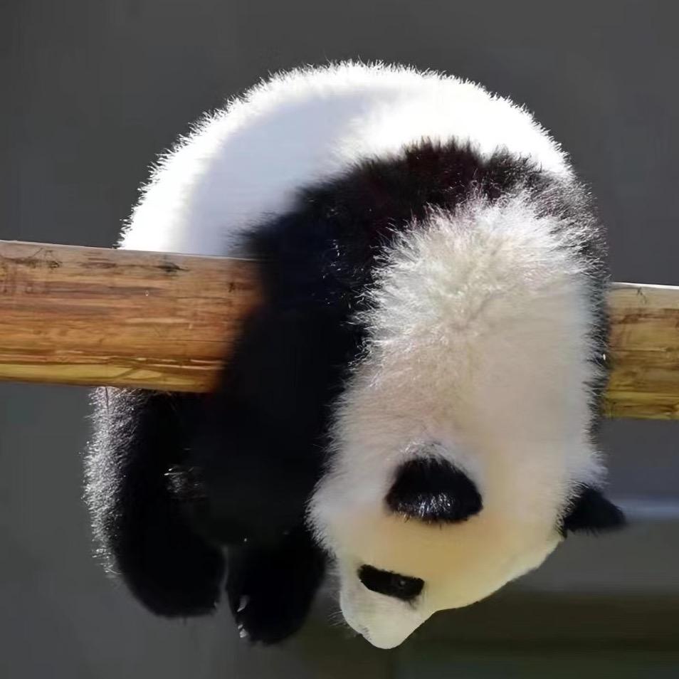 开盖有奖