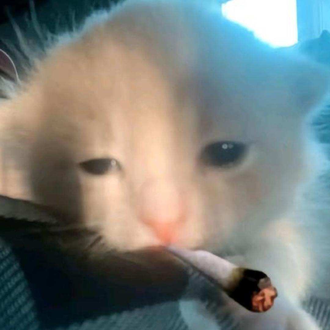 瑶瑶