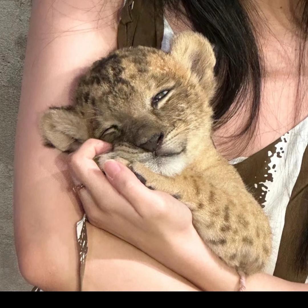 看着篝火